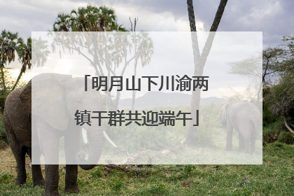明月山下川渝两镇干群共迎端午