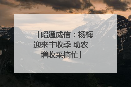 昭通威信：杨梅迎来丰收季 助农增收采摘忙