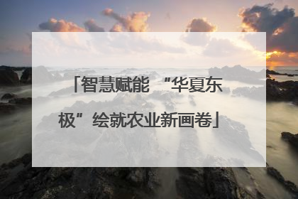 智慧赋能 “华夏东极”绘就农业新画卷