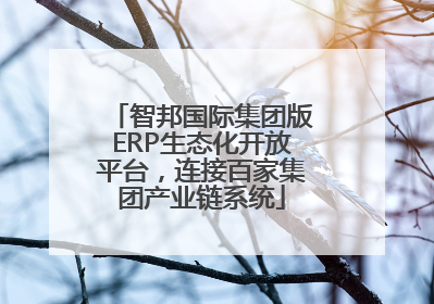 智邦国际集团版ERP生态化开放平台，连接百家集团产业链系统