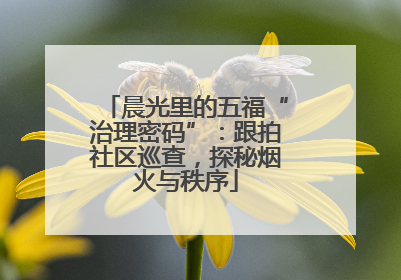 晨光里的五福“治理密码”：跟拍社区巡查，探秘烟火与秩序
