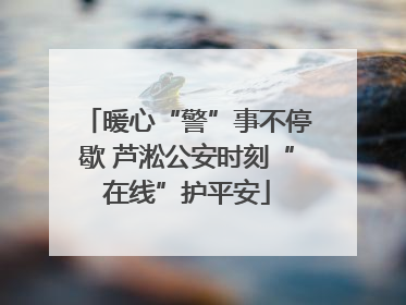 暖心“警”事不停歇 芦淞公安时刻“在线”护平安