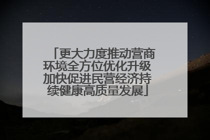 更大力度推动营商环境全方位优化升级加快促进民营经济持续健康高质量发展