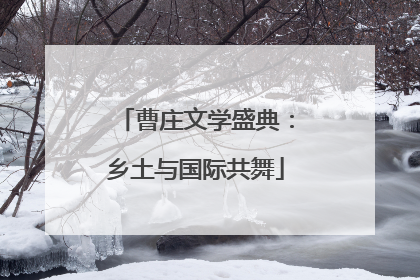 曹庄文学盛典：乡土与国际共舞