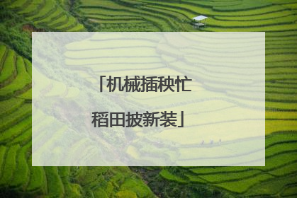 机械插秧忙 稻田披新装