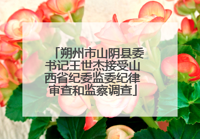 朔州市山阴县委书记王世杰接受山西省纪委监委纪律审查和监察调查