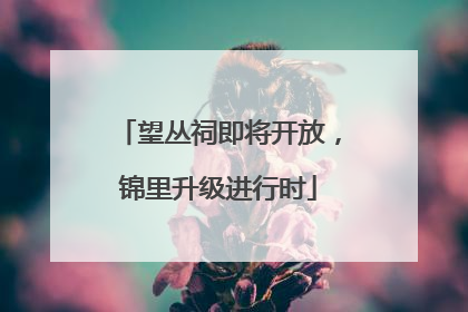 望丛祠即将开放，锦里升级进行时