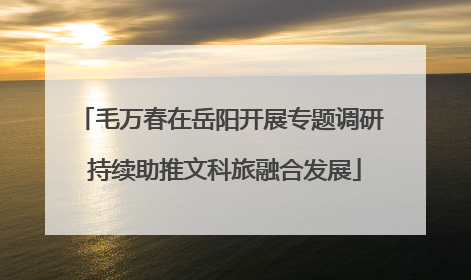 毛万春在岳阳开展专题调研 持续助推文科旅融合发展