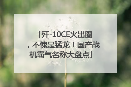 歼-10CE火出圈，不愧是猛龙！国产战机霸气名称大盘点
