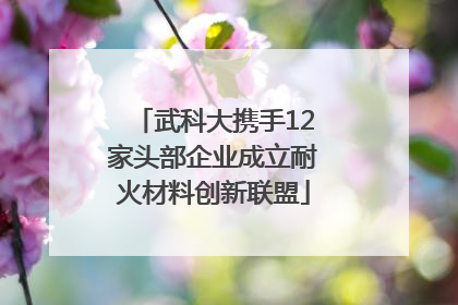 武科大携手12家头部企业成立耐火材料创新联盟