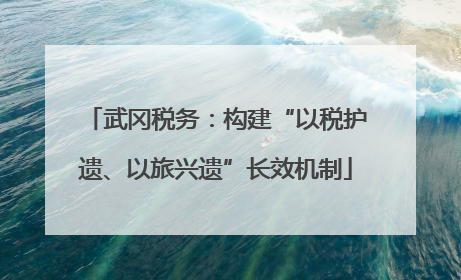 武冈税务：构建“以税护遗、以旅兴遗”长效机制