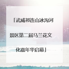 武威祁连山冰沟河景区第二届马兰花文化嘉年华启幕