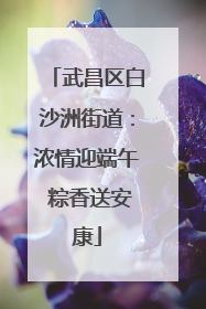 武昌区白沙洲街道：浓情迎端午 粽香送安康