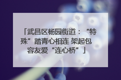 武昌区杨园街道：“特殊”踏青心相连 架起包容友爱“连心桥”