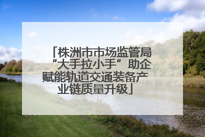 株洲市市场监管局“大手拉小手”助企赋能轨道交通装备产业链质量升级