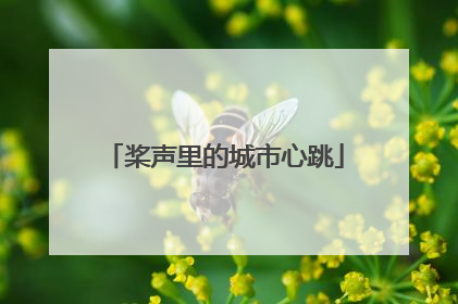 桨声里的城市心跳