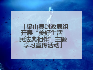 梁山县财政局组开展“美好生活 民法典相伴”主题学习宣传活动