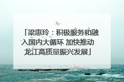 梁惠玲：积极服务和融入国内大循环 加快推动龙江高质量振兴发展