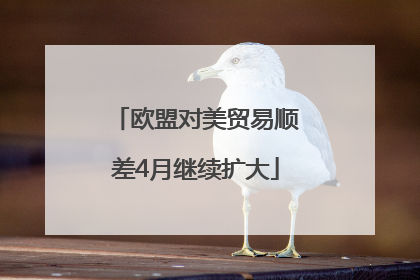 欧盟对美贸易顺差4月继续扩大