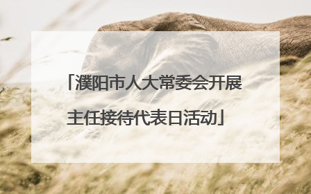 濮阳市人大常委会开展主任接待代表日活动