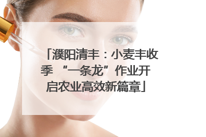 濮阳清丰：小麦丰收季 “一条龙”作业开启农业高效新篇章