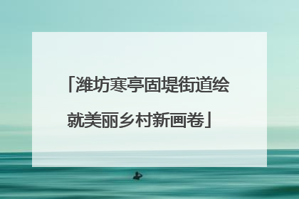 潍坊寒亭固堤街道绘就美丽乡村新画卷
