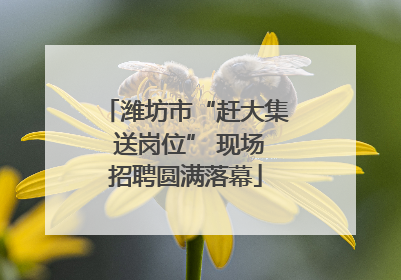 潍坊市“赶大集 送岗位” 现场招聘圆满落幕