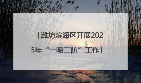 潍坊滨海区开展2025年“一喷三防”工作