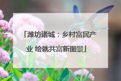 潍坊诸城：乡村富民产业 绘就共富新图景