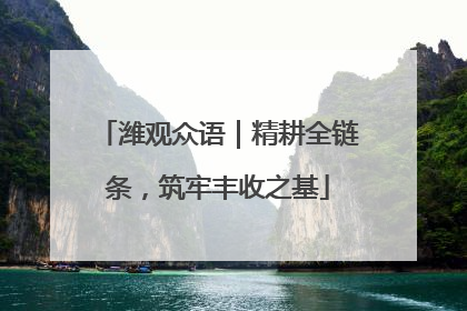 潍观众语｜精耕全链条，筑牢丰收之基