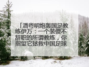 潘粤明炮轰国足教练伊万：一个装傻不辞职的所谓教练，你指望它拯救中国足球！此前曾多次发文评价国足