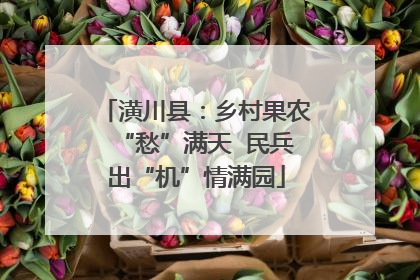 潢川县：乡村果农“愁”满天  民兵出“机”情满园