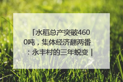 水稻总产突破4600吨，集体经济翻两番：永丰村的三年蜕变｜您牵挂的四川