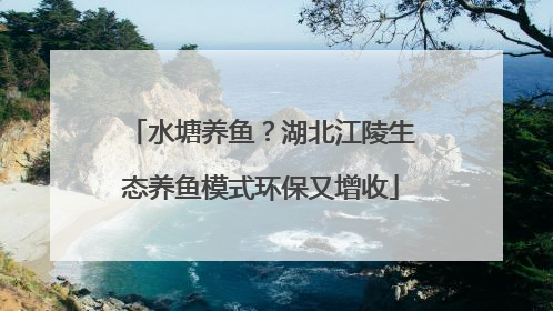 水塘养鱼？湖北江陵生态养鱼模式环保又增收
