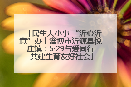 民生大小事 “沂心沂意”办丨淄博市沂源县悦庄镇：5·29与爱同行 共建生育友好社会