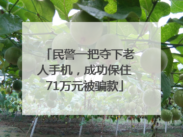 民警一把夺下老人手机，成功保住71万元被骗款