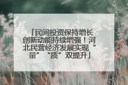 民间投资保持增长 创新动能持续增强！河北民营经济发展实现“量”“质”双提升