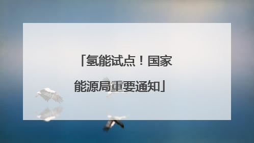 氢能试点！国家能源局重要通知
