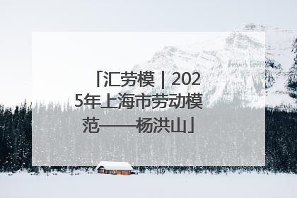 汇劳模｜2025年上海市劳动模范——杨洪山