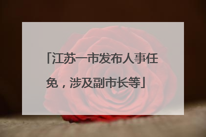 江苏一市发布人事任免，涉及副市长等
