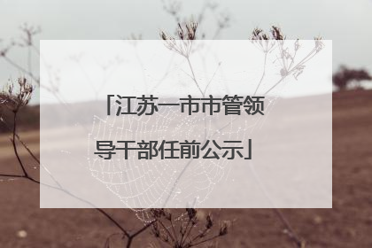 江苏一市市管领导干部任前公示