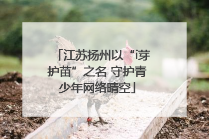 江苏扬州以“i芽护苗”之名 守护青少年网络晴空