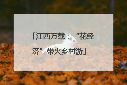 江西万载：“花经济”带火乡村游