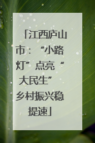 江西庐山市：“小路灯”点亮“大民生” 乡村振兴稳提速