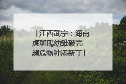 江西武宁：海南虎斑鳽幼雏破壳 濒危物种添新丁
