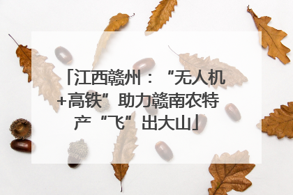 江西赣州：“无人机+高铁”助力赣南农特产“飞”出大山