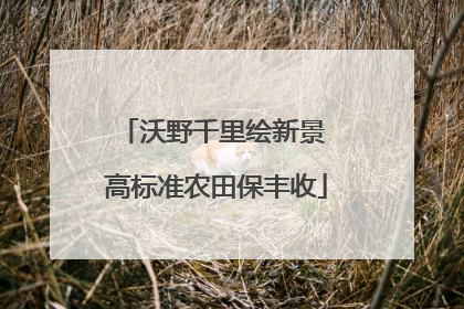 沃野千里绘新景 高标准农田保丰收