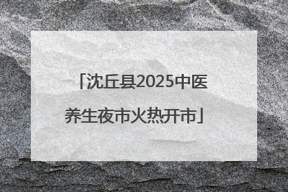 沈丘县2025中医养生夜市火热开市