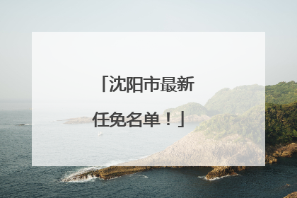 沈阳市最新任免名单！