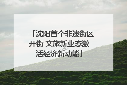 沈阳首个非遗街区开街 文旅新业态激活经济新动能